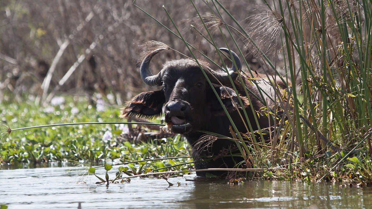 Arusha National Park