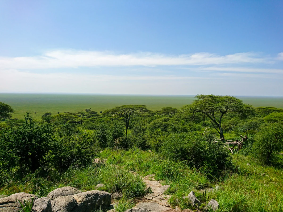 A captivating story that unfolds the wilderness in Tanzania