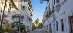 14 Days  Tanzania Wildlife  Safari & Zanzibar Beach Vacation