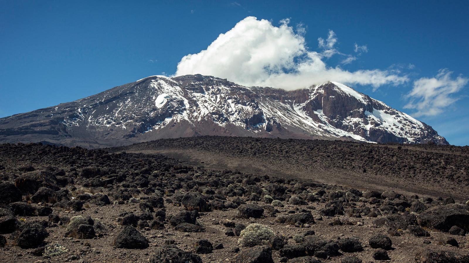 Kilimanjaro National Park - Njofu Expedition